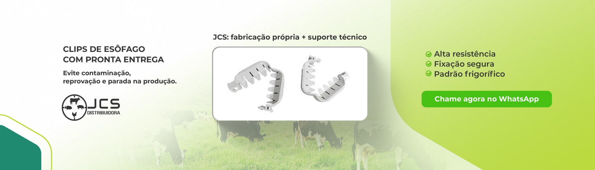 BANNER-SITE.jpg